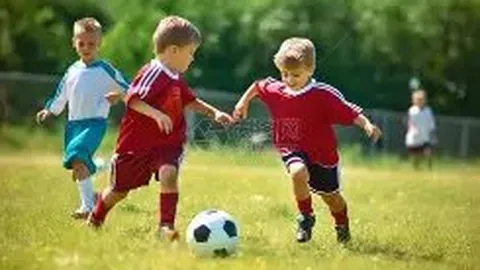 立博体育 产品 224323 z1j