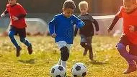 立博体育 产品 224331 c5t