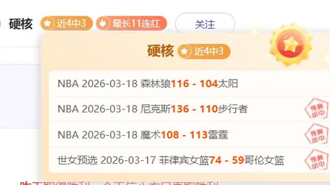 篮网对决老鹰赛况深度解析