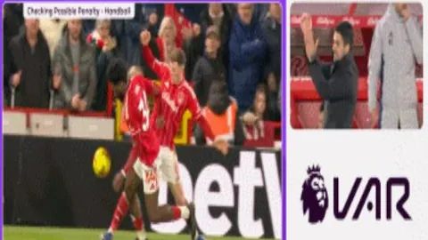 蓝十字降2楼解析：专家质合分析前区十码