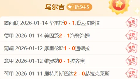 马洛卡对决巴伦西亚：专家解析大乐透期号质合及前区十码